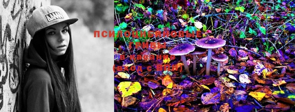 марки lsd Армянск