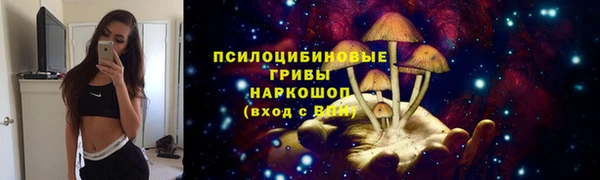 ПСИЛОЦИБИНОВЫЕ ГРИБЫ Арсеньев