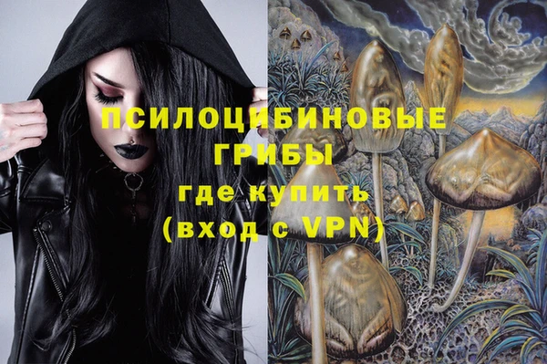 ПСИЛОЦИБИНОВЫЕ ГРИБЫ Арсеньев