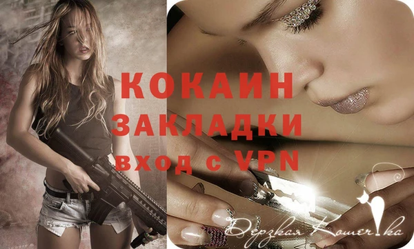 ПСИЛОЦИБИНОВЫЕ ГРИБЫ Арсеньев