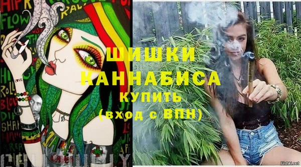 ПСИЛОЦИБИНОВЫЕ ГРИБЫ Арсеньев