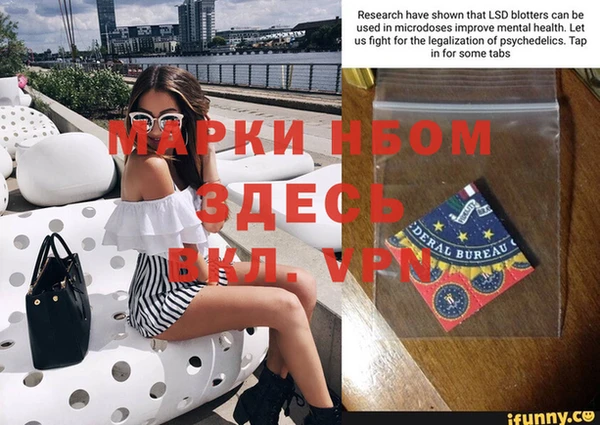 ПСИЛОЦИБИНОВЫЕ ГРИБЫ Арсеньев