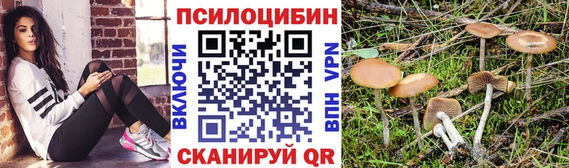 Купить закладки  Надым  Псилоцибиновые грибы Magic Shrooms 